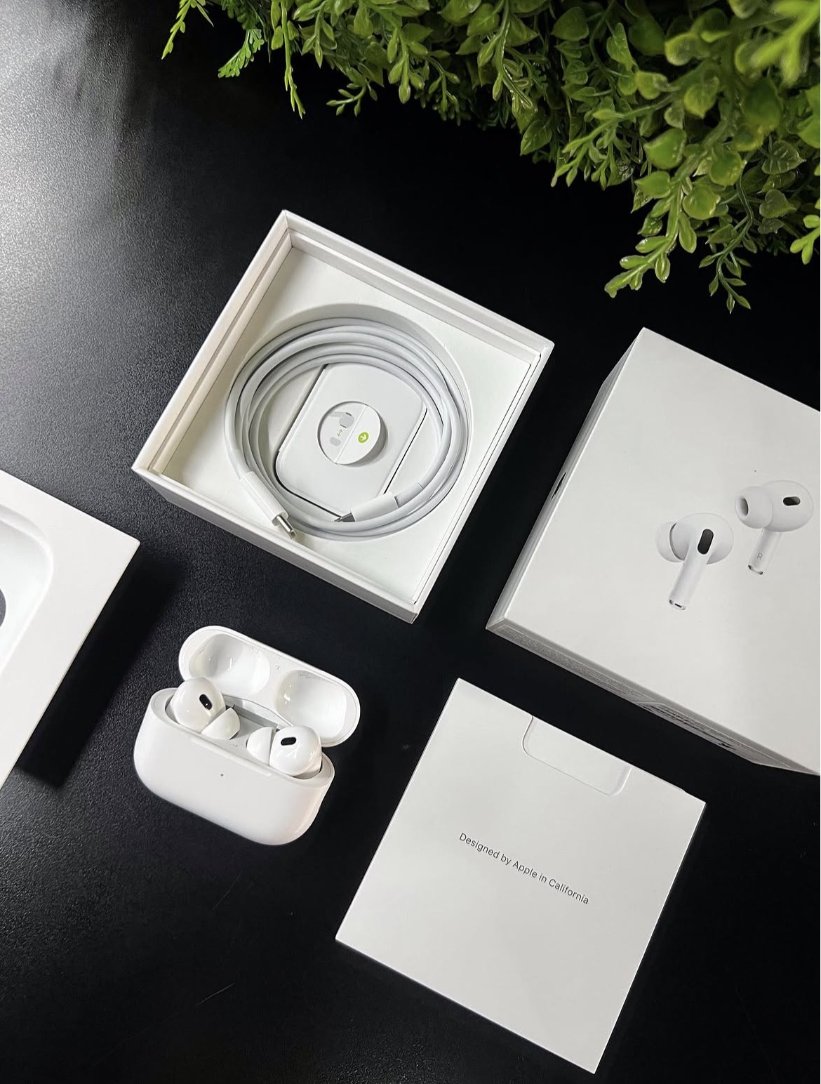 TechXpods